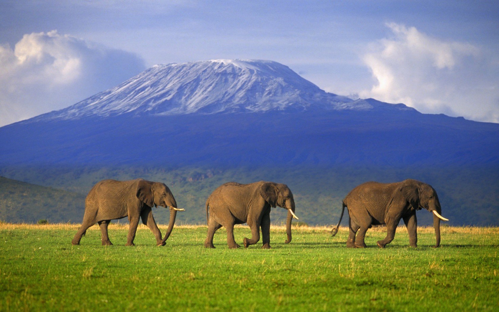 Mount Kilimanjaro Trek