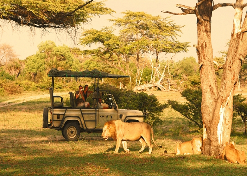 Selous Game Reserve Safari