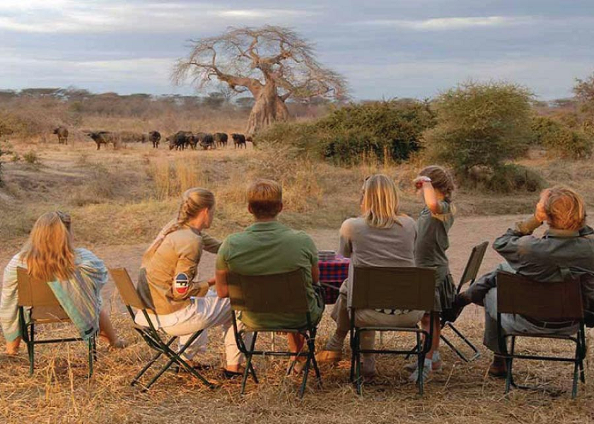 Serengeti Safari Adventure